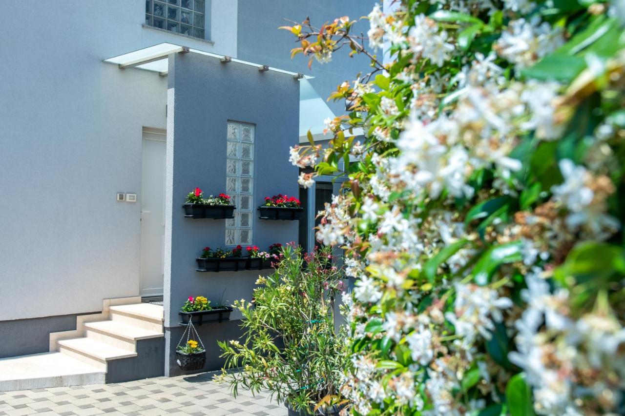 Apartments Greta & Ivona プーラ エクステリア 写真